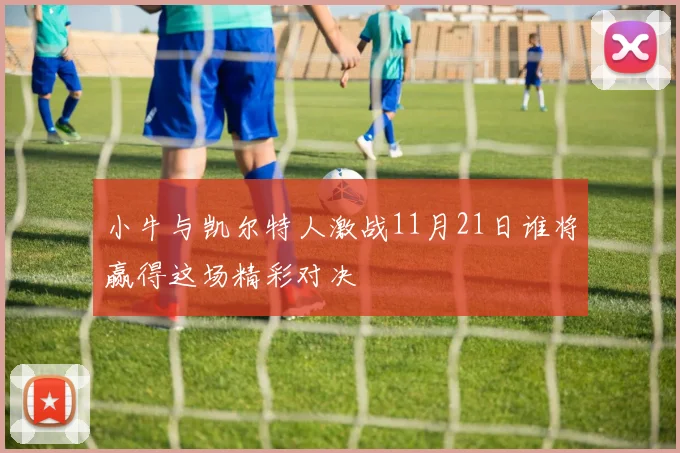 小牛与凯尔特人激战11月21日谁将赢得这场精彩对决