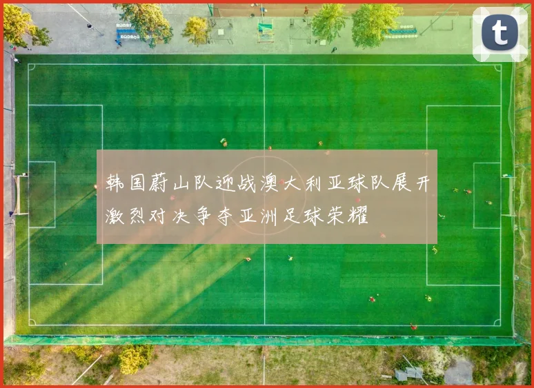 韩国蔚山队迎战澳大利亚球队展开激烈对决争夺亚洲足球荣耀